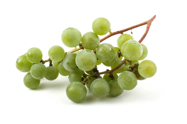 Grappe Raisins Cuve — Photo