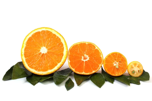 Мандарин Оранжевый Изолирован Белом — стоковое фото