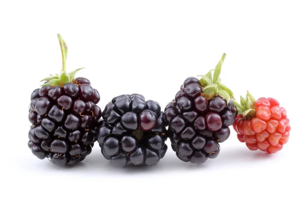 Ripe Blackberries White Background — Stock Photo, Image