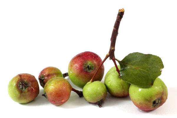 Close Fresh Ripe Apples — Stock Photo, Image