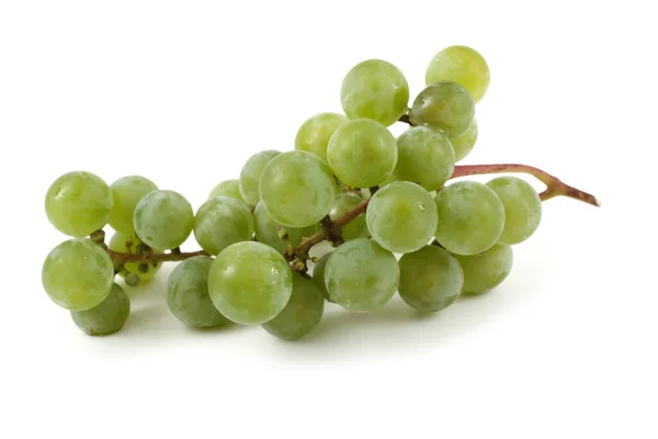 Uva Vino Verde Para Vino Blanco — Foto de Stock