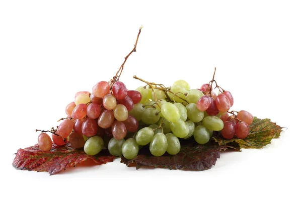 Kilka Świeżych Winogron Jesiennych Liściach Izolowanych Białym — Zdjęcie stockowe