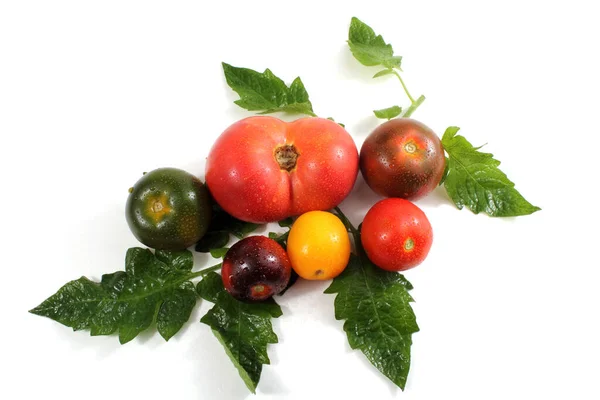 Sabrosos Tomates Maduros Sobre Fondo Blanco —  Fotos de Stock