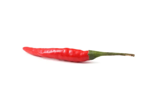 Red Pepper Isolated White Background — Stock Photo, Image