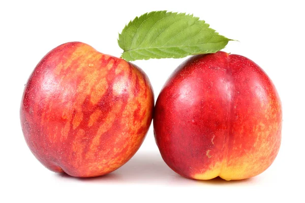 Frutos Nectarina Aislados Sobre Fondo Blanco — Foto de Stock