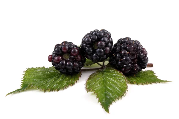 Rijpe Bramen Met Groene Bladeren Witte Achtergrond — Stockfoto