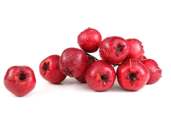 Cowberry Diisolasi Pada Latar Belakang Putih — Stok Foto