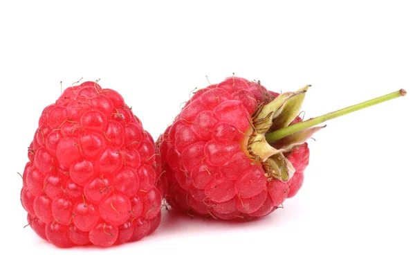 Fresh Raspberries White Background — Stock Photo, Image