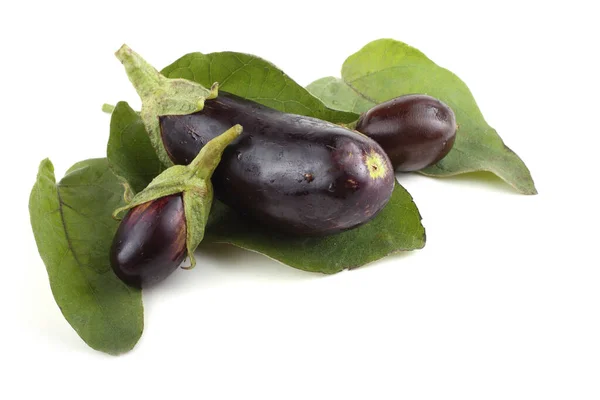 Close Ripe Fresh Aubergines — Stock Photo, Image