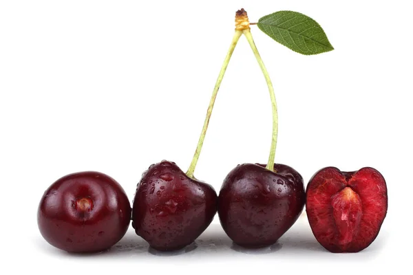 Cerises Isolées Sur Fond Blanc — Photo