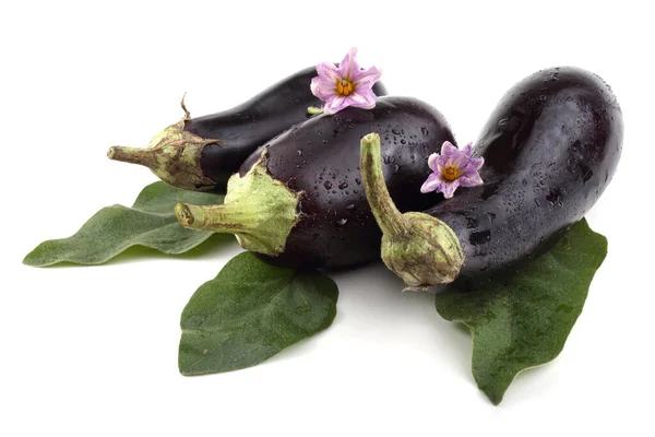 Close Ripe Fresh Aubergines — Stock Photo, Image