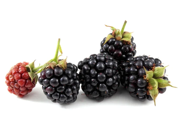 Close Fresh Blackberries Harvest — Stock Photo, Image