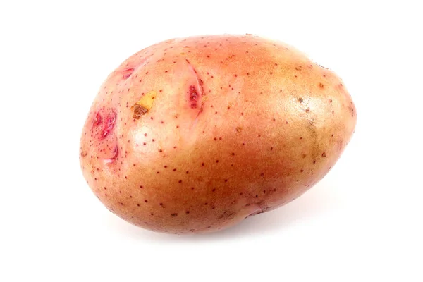 Close Potatoes Harvest — Stock Photo, Image