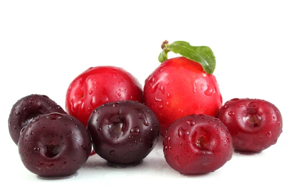 Ripe Fresh Plums Close View — Stock Photo, Image