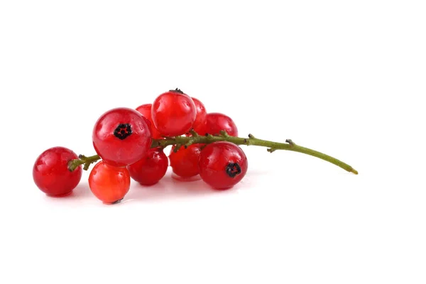 Rote Johannisbeeren Isoliert Auf Weißem Hintergrund — Stockfoto