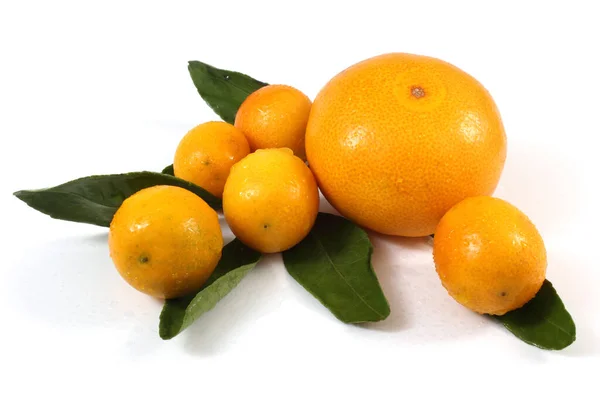 Mandarin Orange Isolated White — Stock Photo, Image