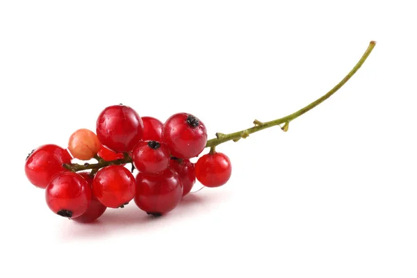Bacche Ribes Rosso Isolate Sfondo Bianco — Foto Stock