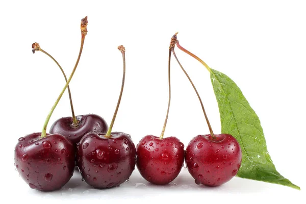 Cherries Isolated White Background — Stock Photo, Image