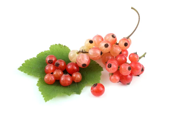 Rote Johannisbeeren Isoliert Auf Weißem Hintergrund — Stockfoto