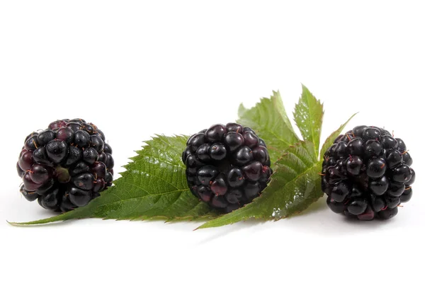 Rijpe Bramen Met Groene Bladeren Witte Achtergrond — Stockfoto