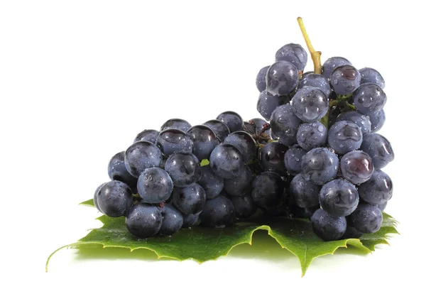 Black Wine Grape Isolated White — Stock Photo, Image