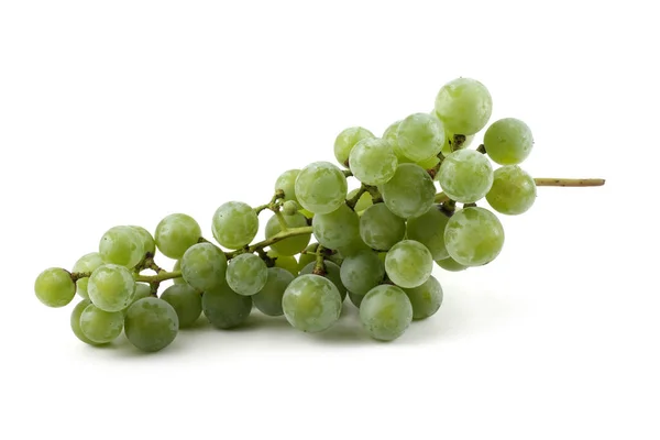 Uva Vino Verde Para Vino Blanco — Foto de Stock