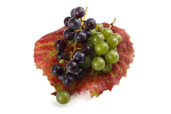 Świeże Dojrzałe Grona Winogron Izolowane Białym Tle — Zdjęcie stockowe