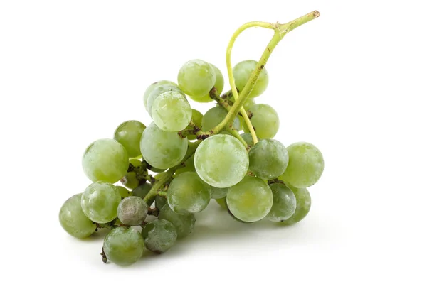 Raisin Vin Vert Pour Vin Blanc — Photo