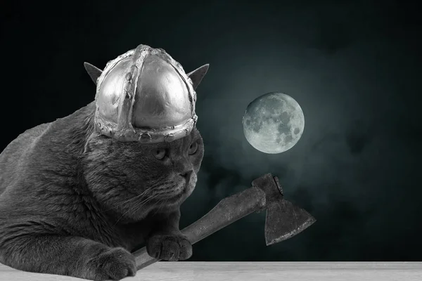 Funny viking cat and Moon