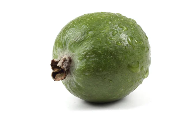 Frutto Feijoa Umido Isolato Bianco — Foto Stock