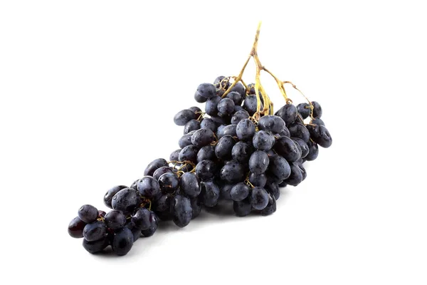 Grappe Raisins Noirs — Photo