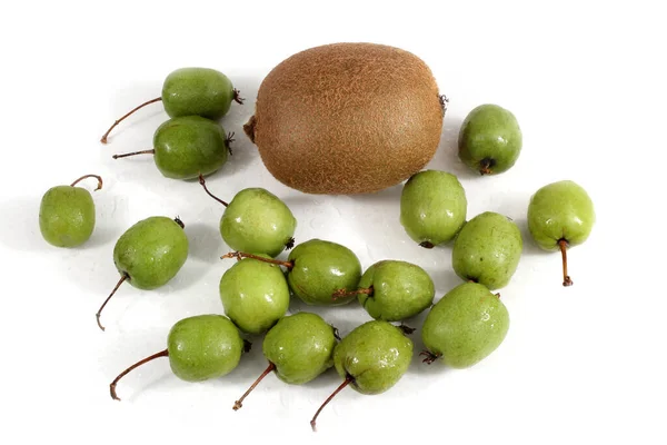 Kiwi Und Kleine Kiwi Früchte Actinidia Kolomikta — Stockfoto