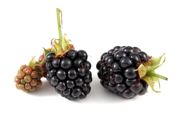 Ripe Blackberries White Background — Stock Photo, Image