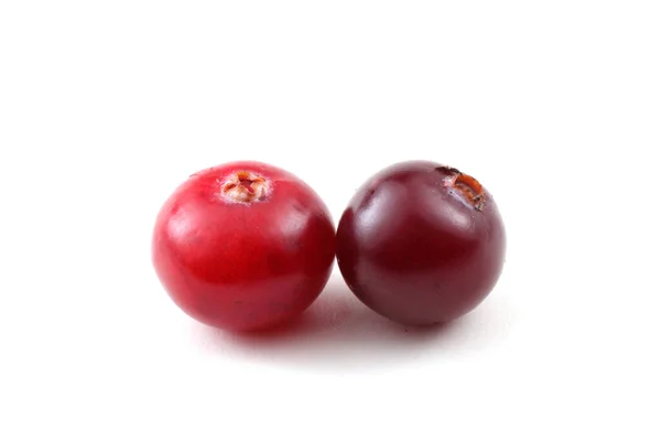 Close Fresh Sour Cranberries — Stock Photo, Image