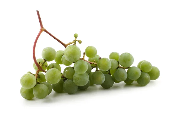 Uva Vino Verde Para Vino Blanco — Foto de Stock