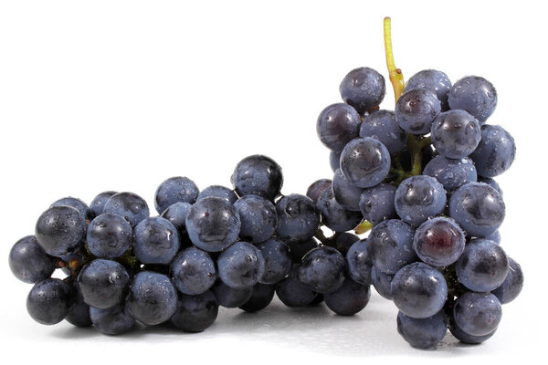 Виноград черный, изолированный на белом