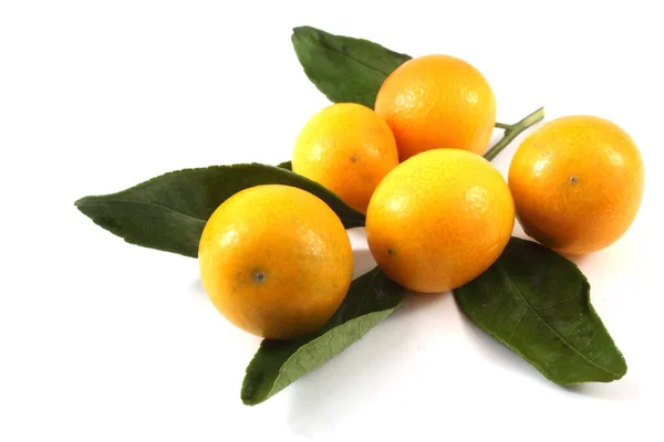 Mandarinas Con Hojas Sobre Fondo Blanco — Foto de Stock