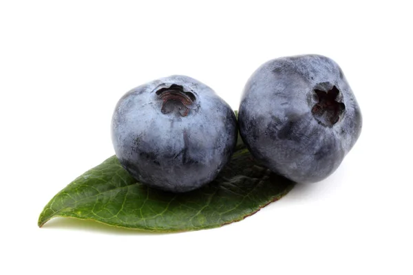 Close Fresh Blueberry Harvest Isolated White — Stock Photo, Image