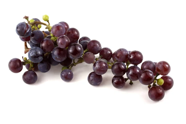 Uva Vino Nera Isolata Bianco — Foto Stock