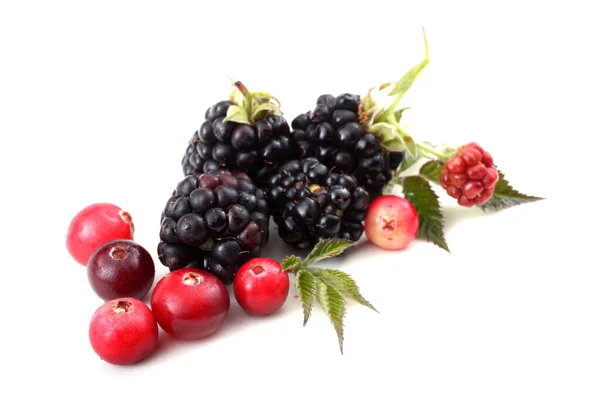 Fresh Blackberry Harvest Close — Stock Photo, Image