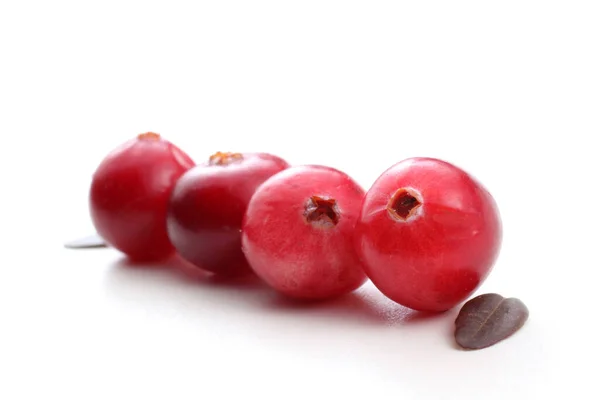 Tutup Dari Cranberry Asam Segar — Stok Foto