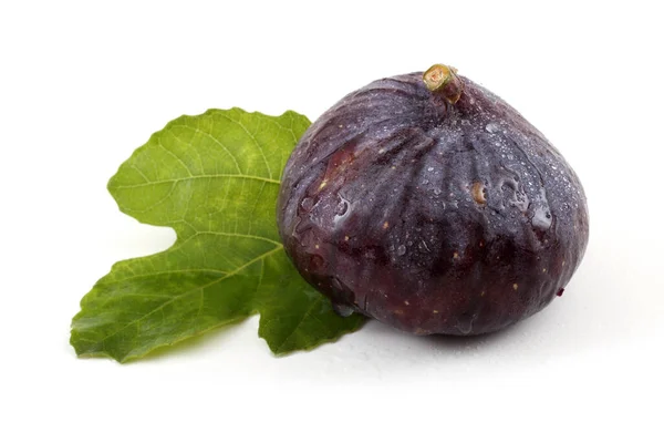 Fig Leaf Isolated White — Stock Photo, Image