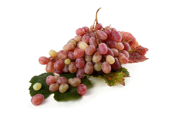 Różowe Winogrona Liściach — Zdjęcie stockowe