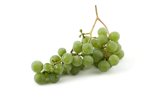 Uva Vinho Verde Para Vinho Branco — Fotografia de Stock
