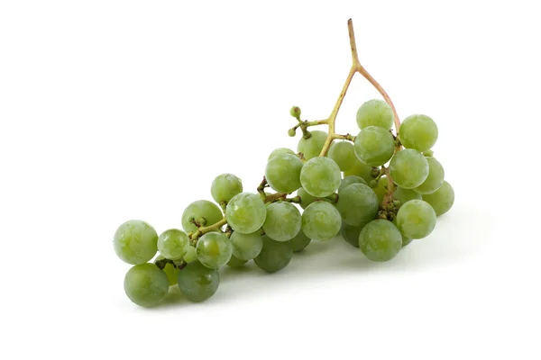 Uva Vino Verde Para Vino Blanco — Foto de Stock