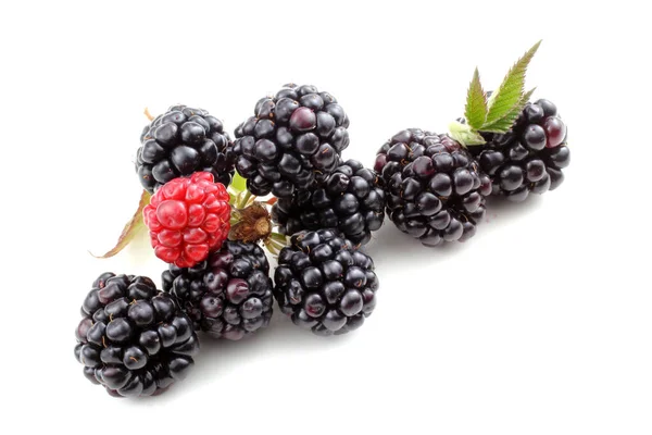 Ripe Blackberries White Background — Stock Photo, Image