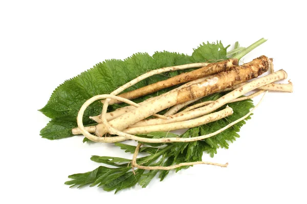 Horseradish Green Leaves Isolated White Background — Stock Photo, Image