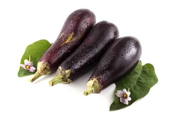 Close Van Rijpe Verse Aubergines — Stockfoto