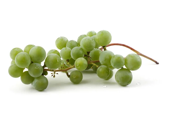 Grön Vindruva För Vitt Vin — Stockfoto