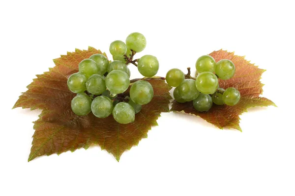 Bouquet Raisins Frais Sur Les Feuilles Automne Isolé Sur Blanc — Photo